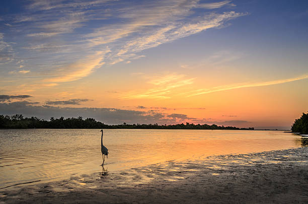 istock Sunset in Marco Island, Florida 509865413