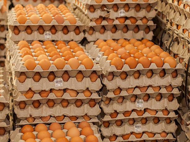 Chicken eggs stock photo