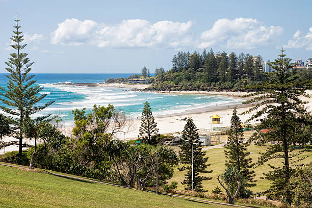 istock Coolangatta beach and Snapper Rocks from Kirra Point Lookout 509866396