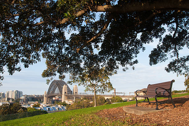 istock Habour bridge, Sydney 509866647
