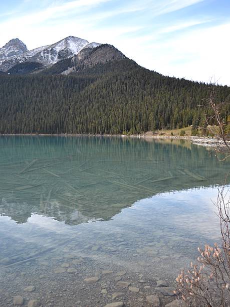 istock Lake Louise in Summer 509867076