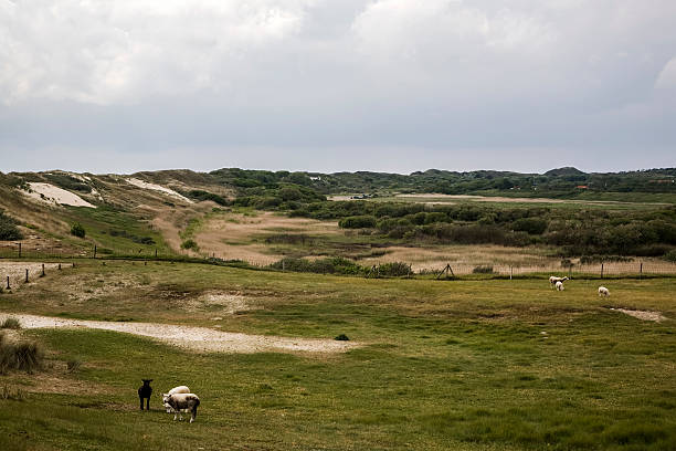 Schouwen-Duiveland, Zeeland , Netherlands