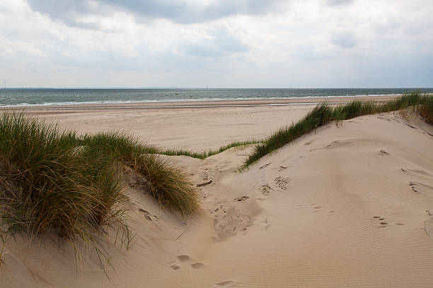 istock Outer dunes and beach of Burgh-Haamstede 509873220