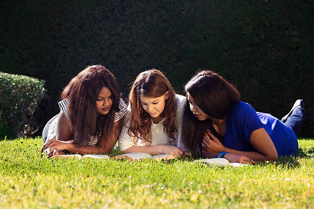 Three Friends Studying Three Friends Studying at the Park bible study group of people small group of people stock pictures, royalty-free photos & images