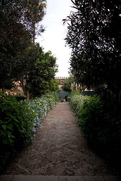andaluzyjskie ogród w kasbah of the udayas, rabat - sale zdjęcia i obrazy z banku zdjęć