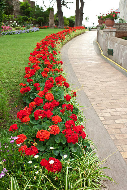istock Garden of Augustus Capri, Italy 509892221