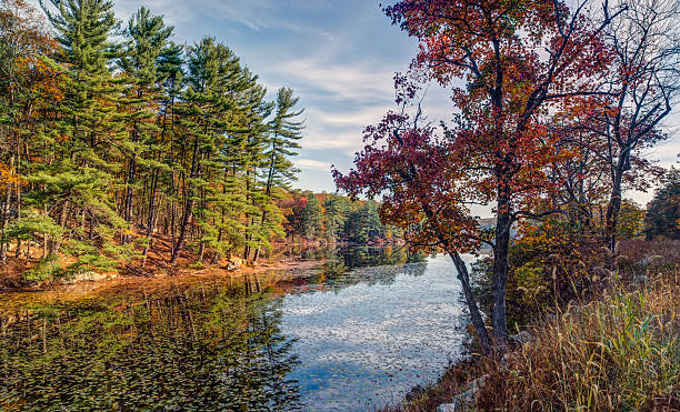 istock Harriman State Park in autumn 509892491