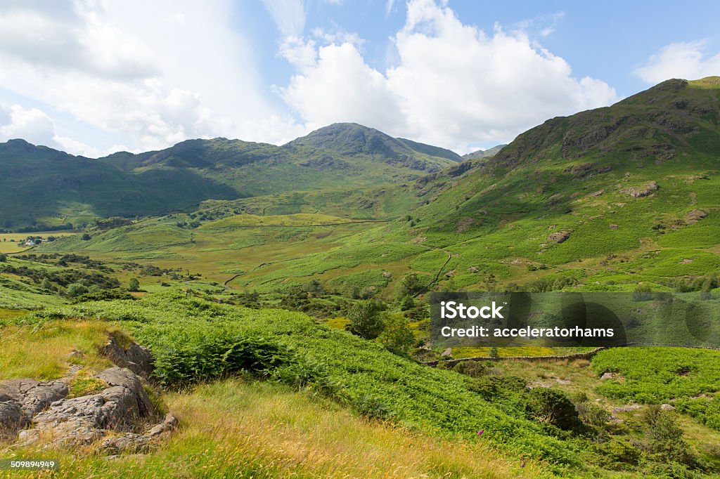 View south of Blea Tarn Lake District Cumbria England UK Blea Tarn between Great Langdale and Little Langdale Lake District Cumbria England UKView to the south of Blea Tarn between Great Langdale and Little Langdale Lake District Cumbria England UK Blea Tarn Stock Photo