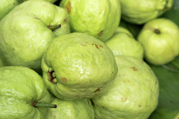 istock Guava fruit in the market 509895447