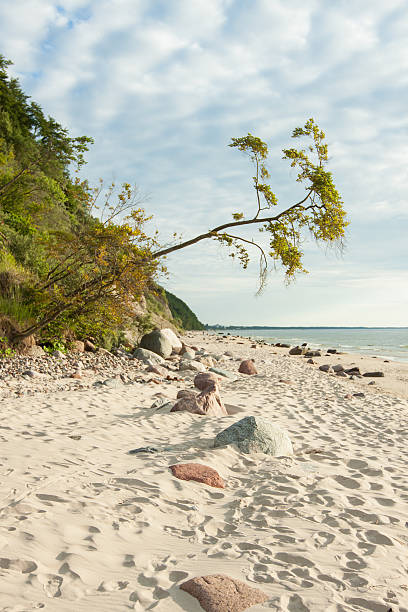 morze bałtyckie polska wolin-coast - rewal zdjęcia i obrazy z banku zdjęć