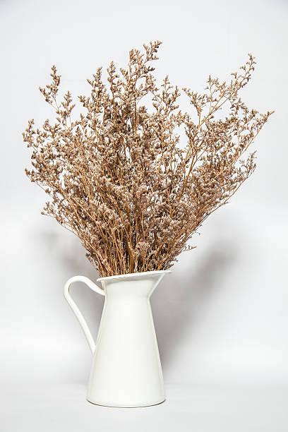 istock dry flower in white vase 509897507
