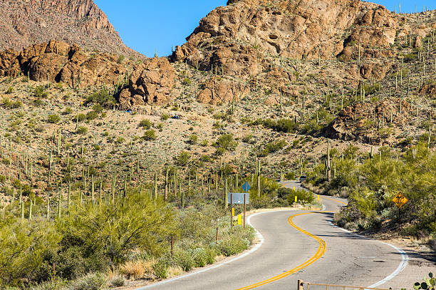 Gates Pass is a mountain pass along the crest of the Tucson Mountains. Traveling West Gates Pass Road through the pass is a scenic route to west of Tucson, Arizona, which provides a shortcut through the Tucson Mountains to Saguaro National Park West. Some sections of the well-marked two-lane road are narrow, steep, and can be treacherous. The mountains appear reddish-brown under the sun against the pure blue sky. Although the ground is parched, the desert is alive with Saguaro, the nation's largest cactus, as well as prickly pear, creosote bushes, and various other cacti and succulents. Rather than leaves or branches, the prickly pear cacti grows pads containing numerous tiny spines.