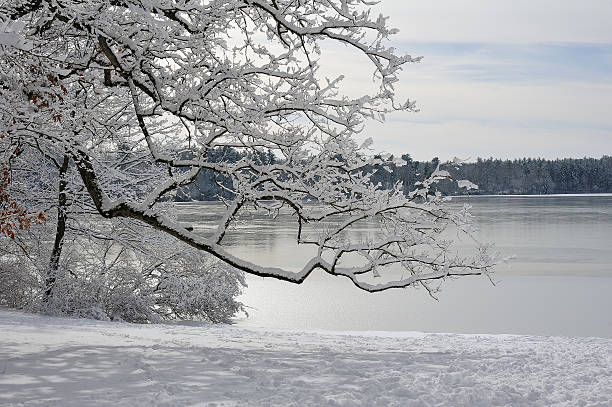 istock After snow storm in New England 509910516