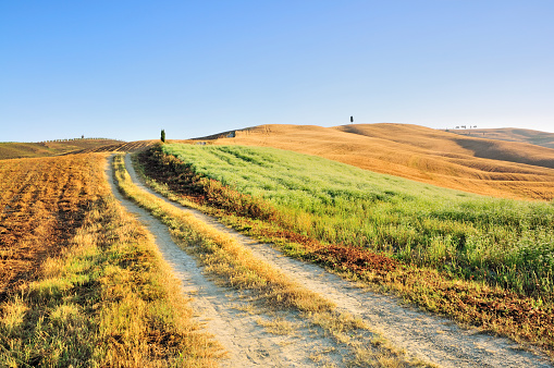 Country road winding through the fields.