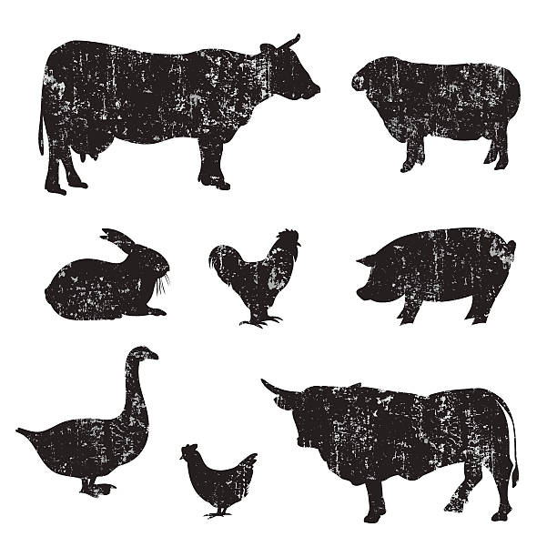 실루엣 of 손 드로잉 농장 짐승 - pig silhouette animal livestock stock illustrations