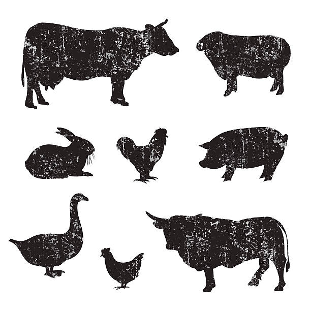 sylwetki z rękę wyciągnąć zwierząt gospodarskich - pig silhouette animal livestock stock illustrations