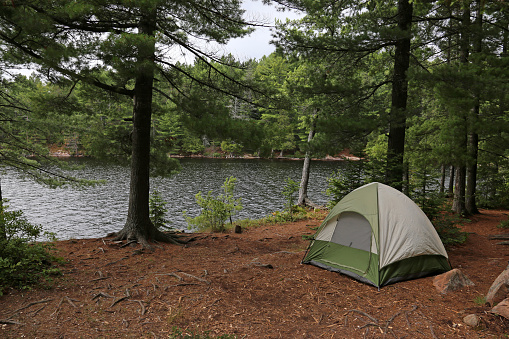 A green tent setup right beside a lake.  Shot in Algonquin Provincial Park, Ontario, Canada.