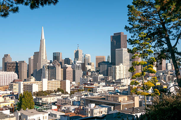 istock Downtown of San Francisco. 509916479