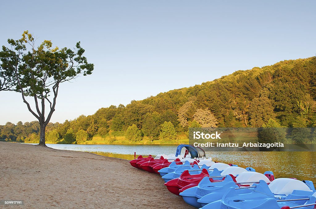 Some pedal boat in the beach, lake shore Activity Stock Photo