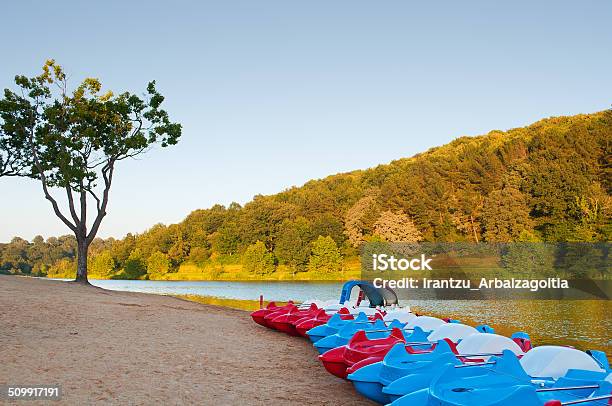Some Pedal Boat In The Beach Lake Shore Stock Photo - Download Image Now - Activity, Beach, Coastline