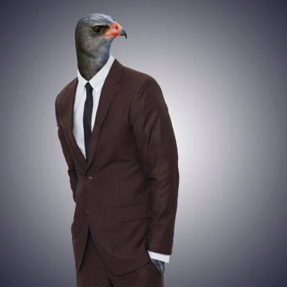 Studio portrait of a businessperson with an eagle head