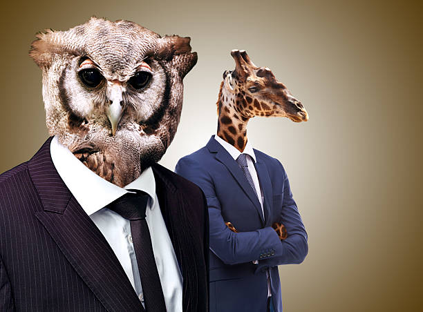 istock The whoo's whoo in business 509917551