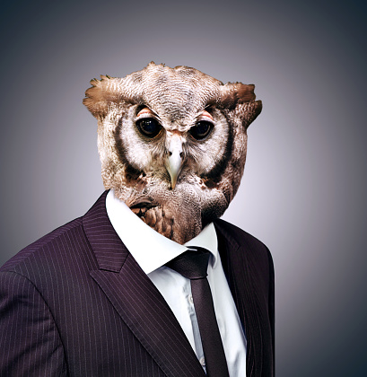 Studio portrait of a businessperson with an owl headhttp://195.154.178.81/DATA/i_collage/pi/shoots/784098.jpg