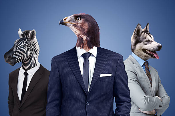 Always keep a hawk's eye view on the competition Conceptual image of animal heads on business people bird human stock pictures, royalty-free photos & images