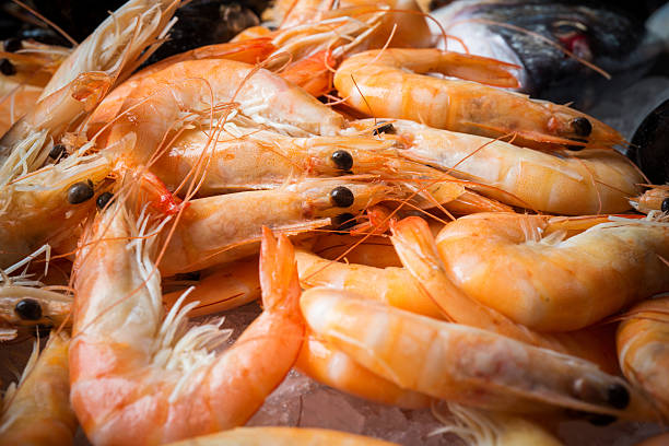 istock Fresh or cooked shrimps isolated on ice 509918620