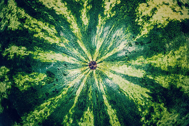 istock Green sweet fruit 509918884