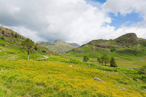 istock Langdale pikes Blea Tarn Lake District Cumbria England UK 509918899