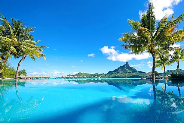 Picture Perfect Paradise Background. Cool Infinity Pool.