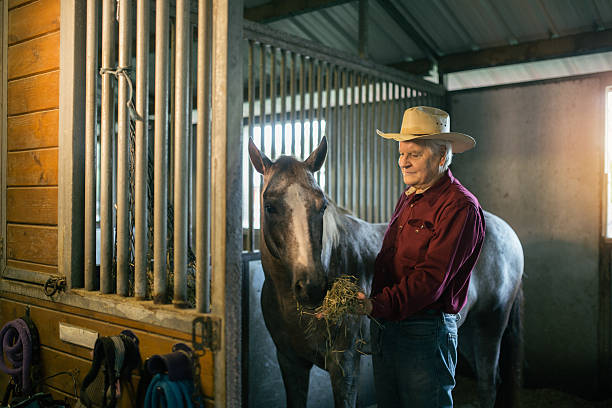 istock Old rancher with his horse 509919230