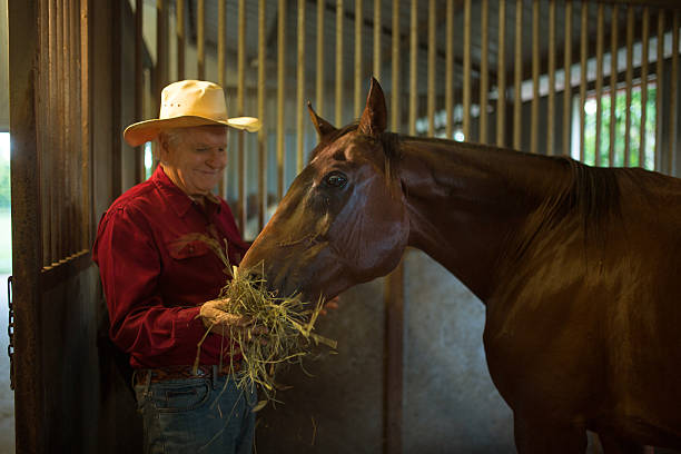 istock Rancher with horse 509919548