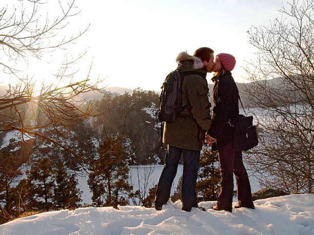 amor de inverno - rear view winter blizzard nordic countries - fotografias e filmes do acervo