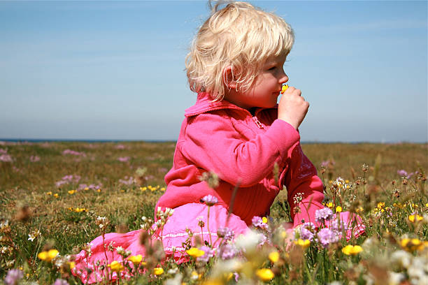 garota no meadow recolha de flores - field flower danish culture sunlight - fotografias e filmes do acervo