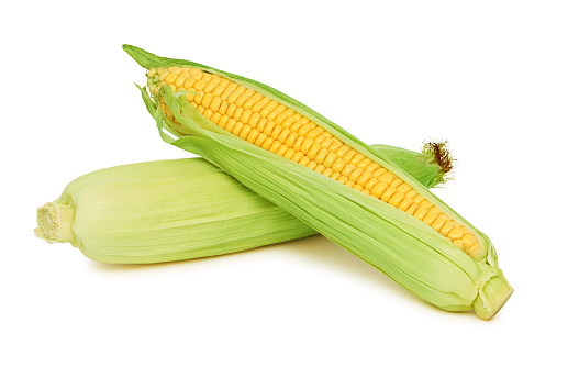 Two raw corn on the cob with green leaves (isolated)