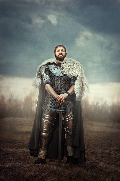 cavaleiro com espada em um campo. - fighting sword knight suit of armor - fotografias e filmes do acervo