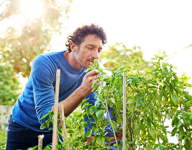 istock Savoring the natural scent of nature 509921499