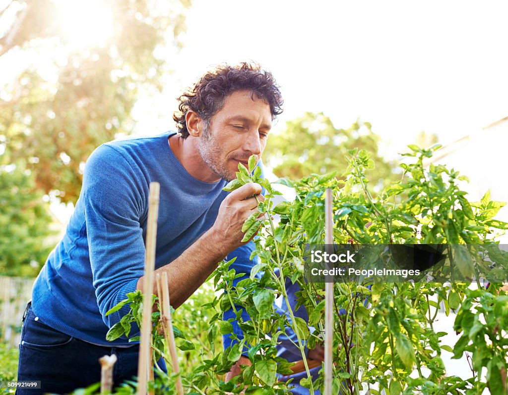 Savoring the natural scent of nature Shot of a handsome man smelling the plants in his garden Men Stock Photo