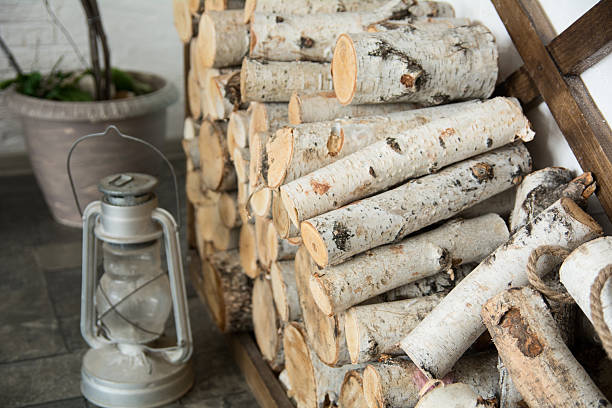 istock Background of birch firewood at home. 509921782