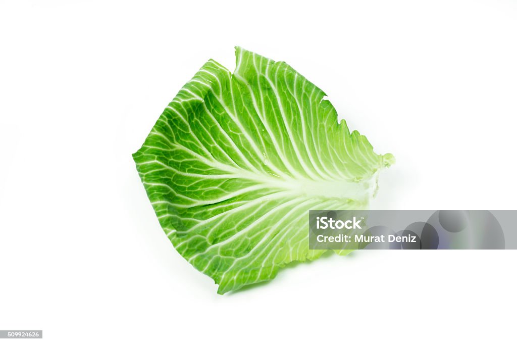 Leaf of cabbage on white Cabbage Stock Photo