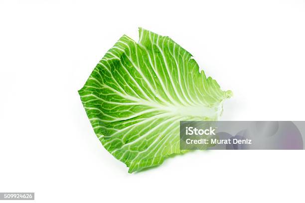 Leaf Of Cabbage On White Stock Photo - Download Image Now - Cabbage, Auvergne-Rhône-Alpes, Close-up