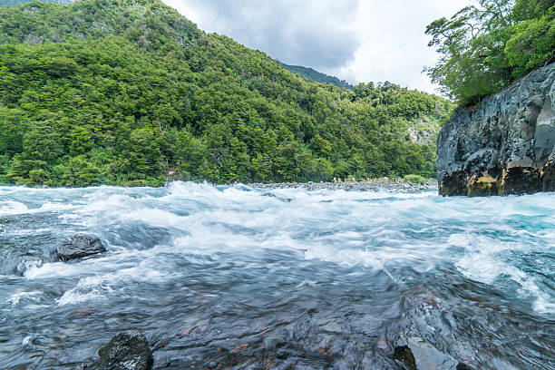 raging río rápidos de patagonia al río, puerto varas chile - chilean culture chile forest the americas fotografías e imágenes de stock