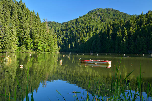 istock beautiful landscape from lake 509930678