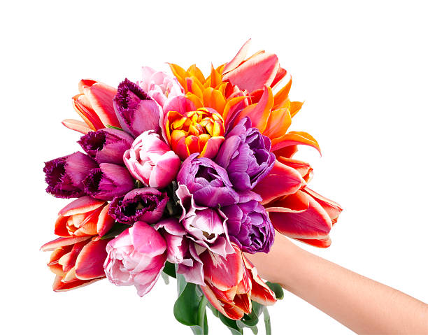Hand with bouquet of tulips isolated