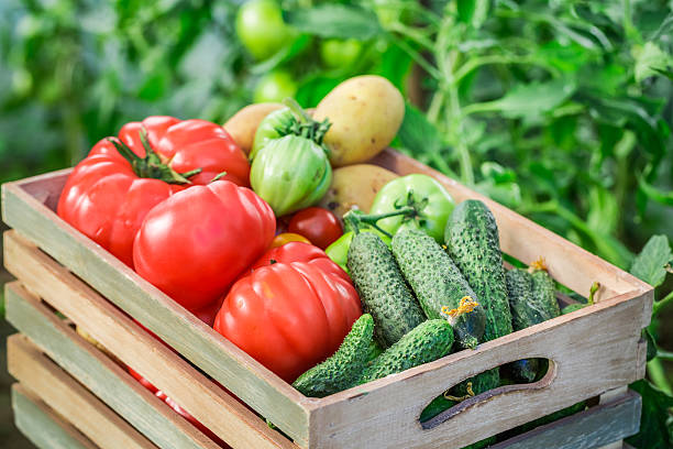 istock Healthy vegetables in wooden box 509934222