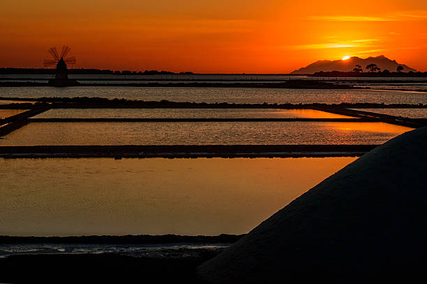 istock Sunset, Pans of Trapani with windmills, in Sicily 509935658