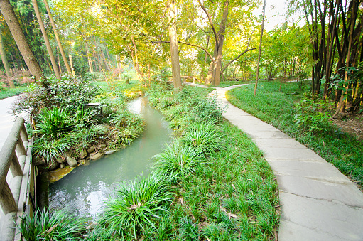Lush Green oriental Garden with Pathway, small running manmade stream. Sichuan, China.