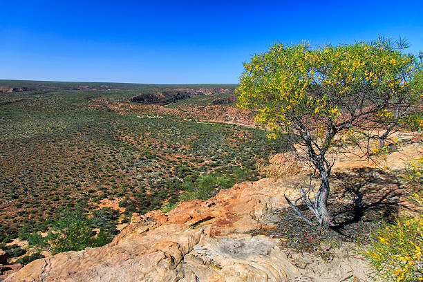 Kalbarri National Park